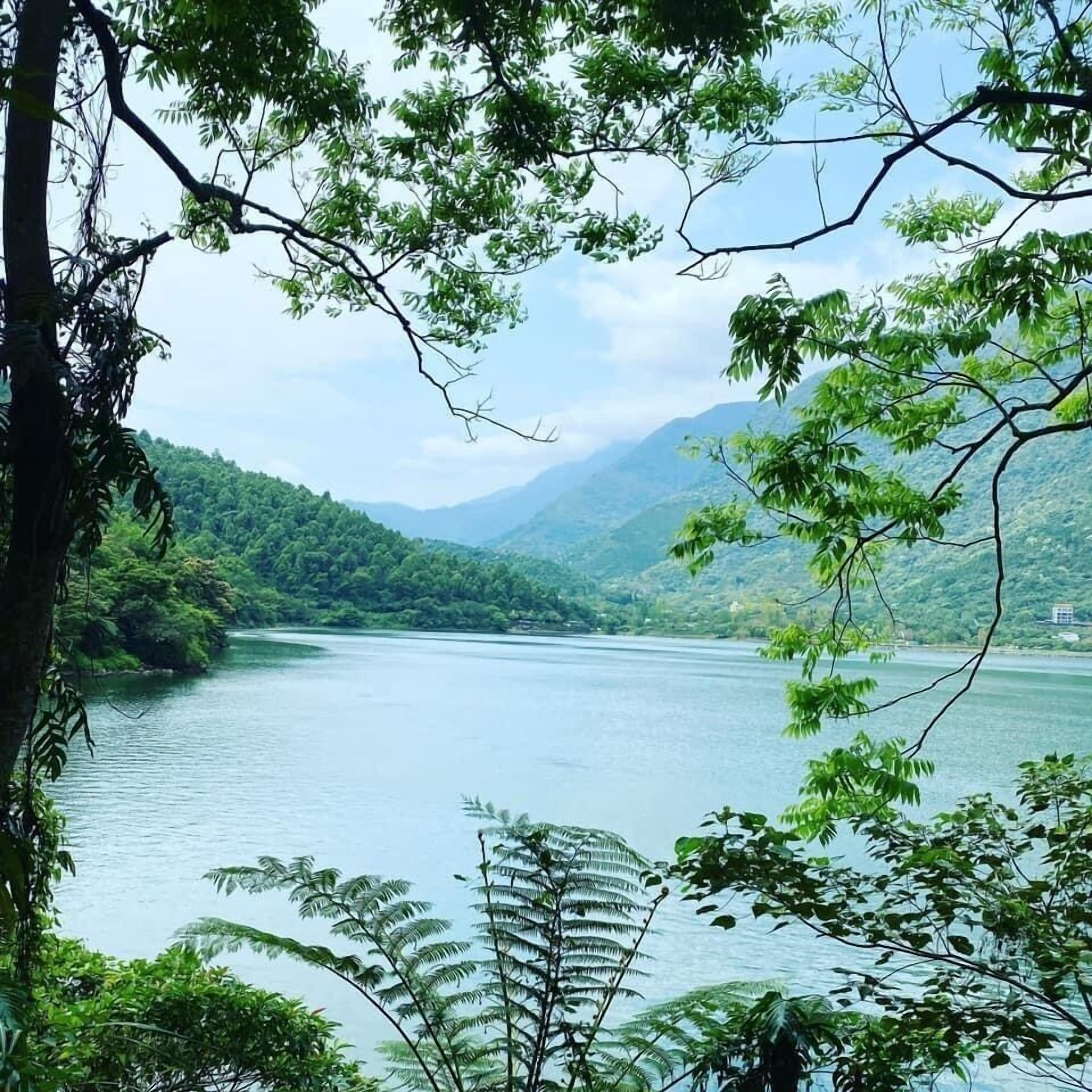 湖畔46民宿：樹葉和枝幹框出鯉魚潭水面，對岸是層層綠山。