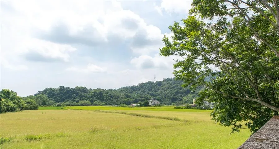 三星天長地久民宿-山景與田野景觀