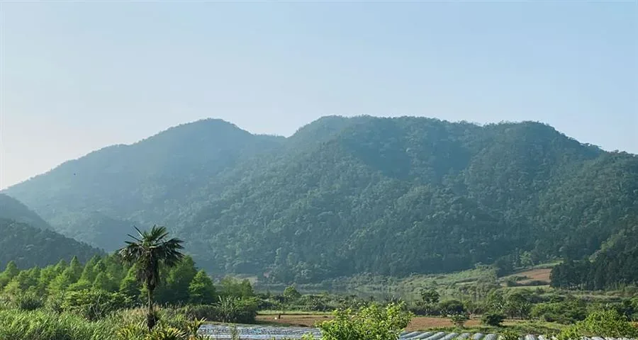宜蘭包棟雙連埤民宿-山景與田野景觀