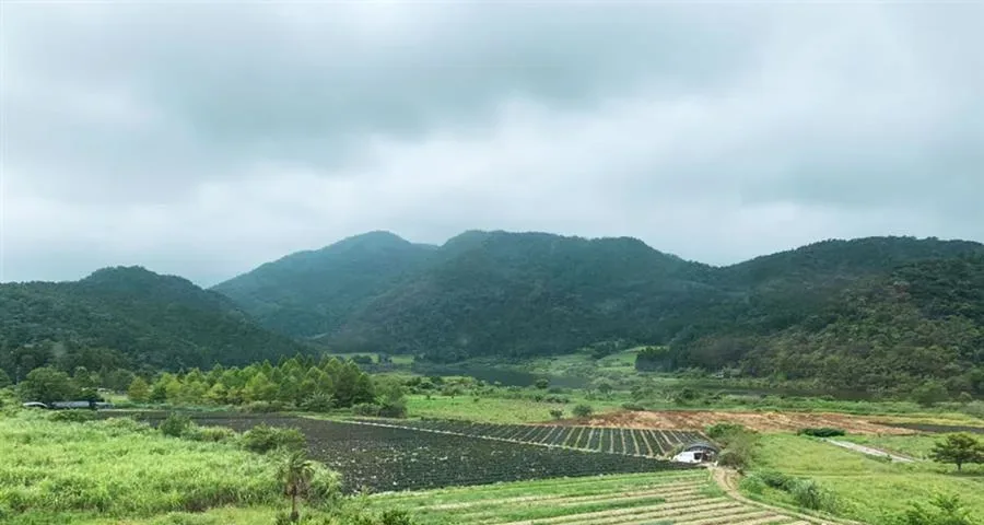 宜蘭包棟雙連埤民宿-山景與田野景觀
