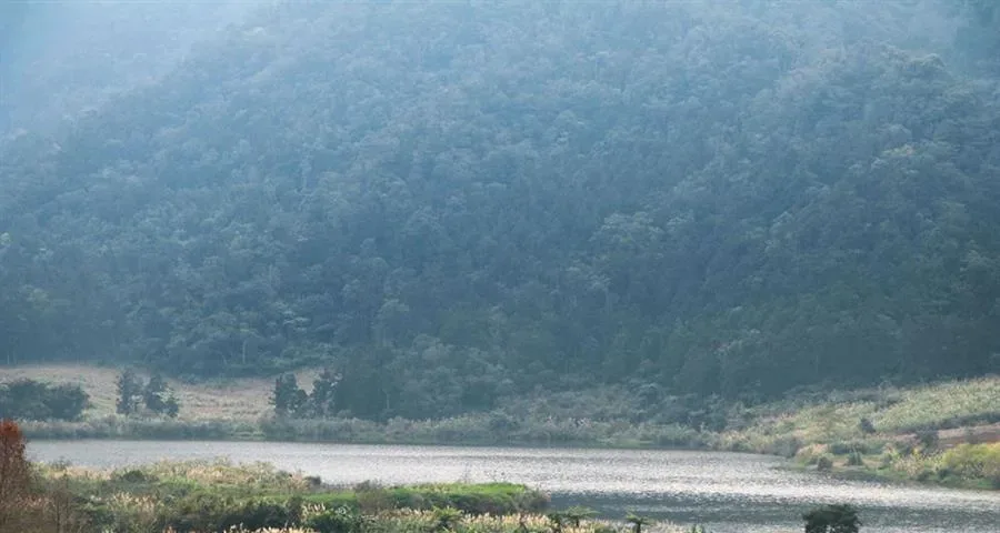 宜蘭包棟雙連埤民宿-山景與田野景觀