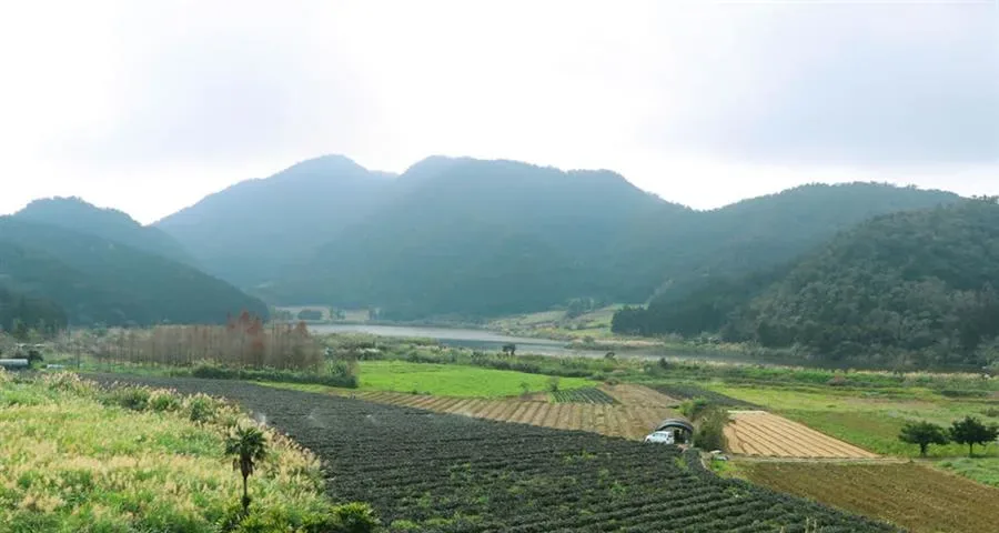 宜蘭包棟雙連埤民宿-山景與田野景觀