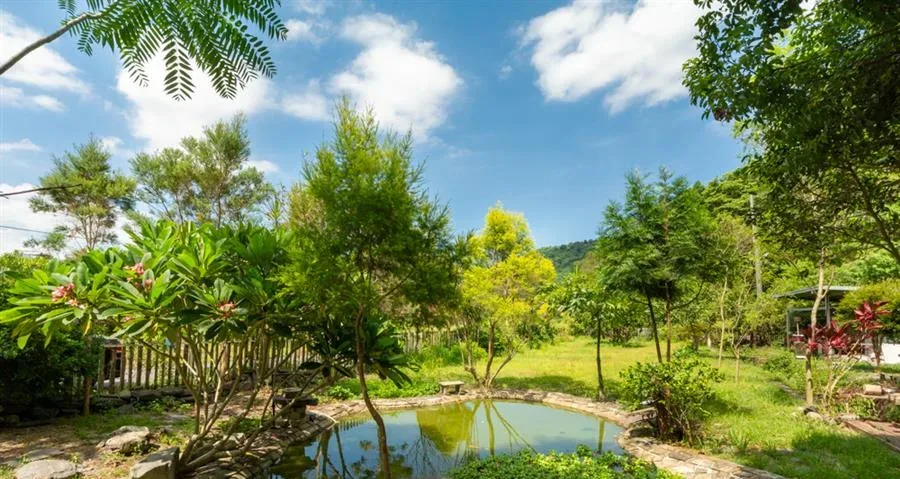 宜蘭民宿 有風會館-庭院草地與植栽