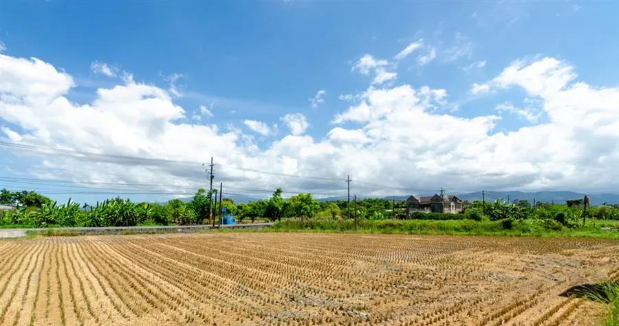宜蘭民宿蘭田親子會館-山景與田野景觀