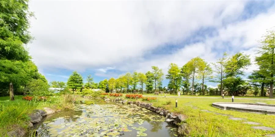 宜蘭芊芊河畔包棟民宿-庭院草地與植栽