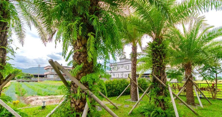 旅墅Villa101-庭院草地與植栽