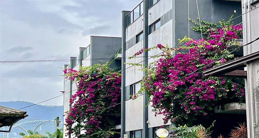 宜蘭斑馬芭芭菈小別墅－建築外觀與周邊環境