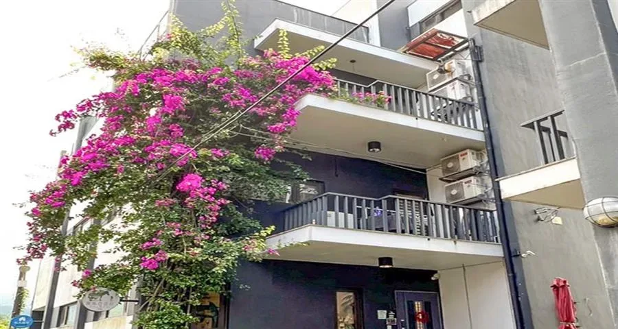 宜蘭斑馬芭芭菈小別墅－陽台與戶外景觀