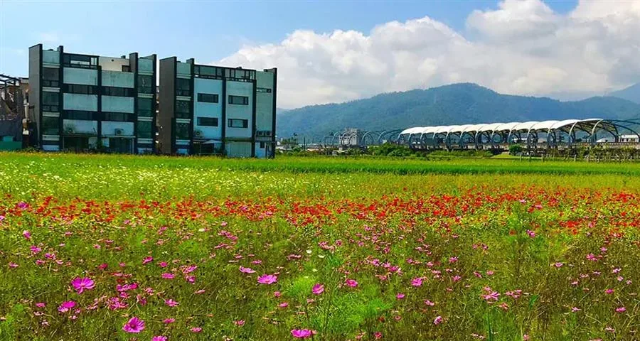 宜蘭斑馬芭芭菈小別墅－山景與田野景觀