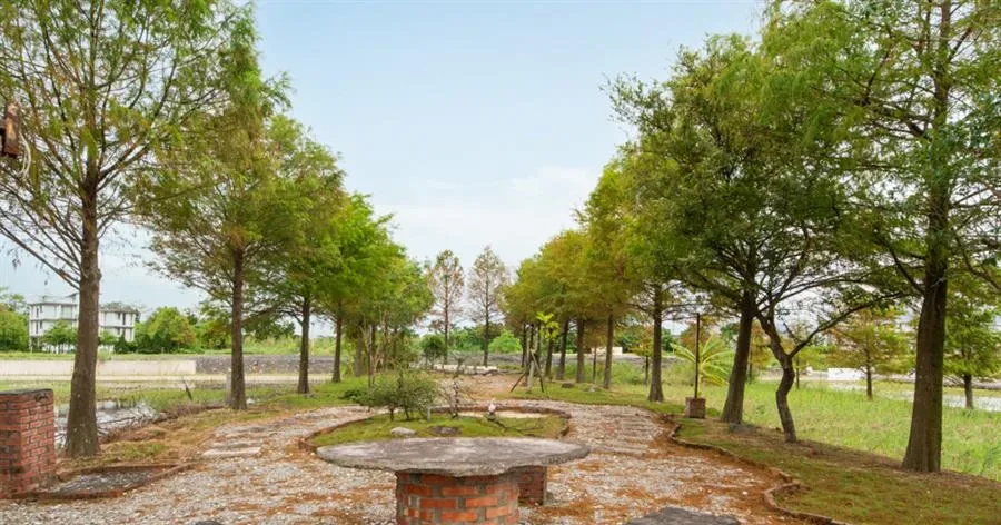 宜蘭 晨園景觀民宿-庭院草地與植栽