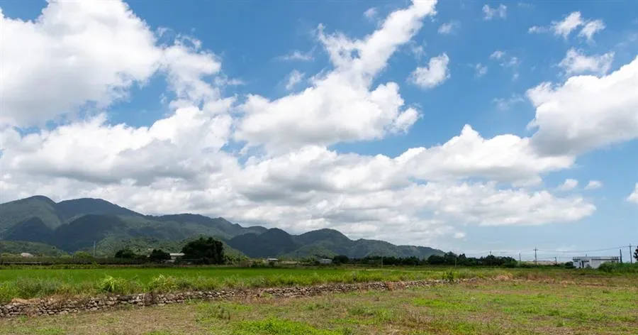宜蘭民宿 三星悠宅-山景與田野景觀