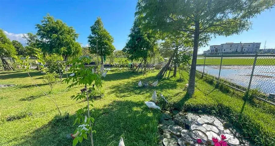 宜蘭民宿 永美秘境-庭院草地與植栽