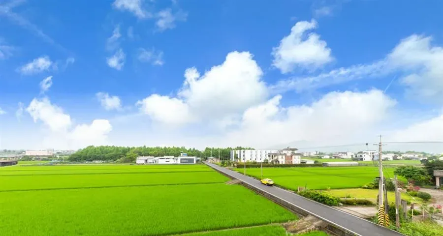 宜蘭 山人花包棟民宿-山景與田野景觀