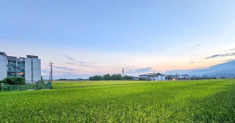宜蘭 奶昔包棟民宿-山景與田野景觀